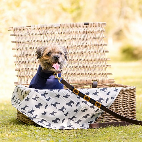 baskest white diamond